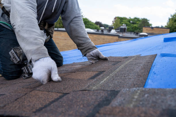 Best Solar Panel Roofing Installation  in Bayport, MN