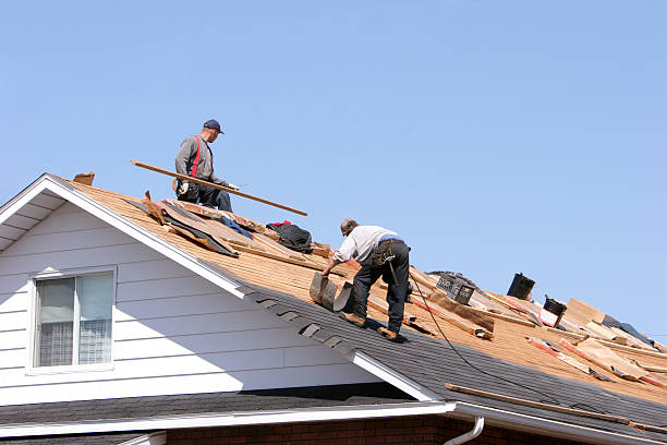 Best Emergency Roof Repair Services  in Bayport, MN